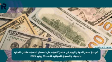 كم بلغ سعر الدولار اليوم في مصر؟ تعرف على أسعار الصرف مقابل الجنيه بالبنوك والسوق الموازية الأحد 15 يونيو 2025